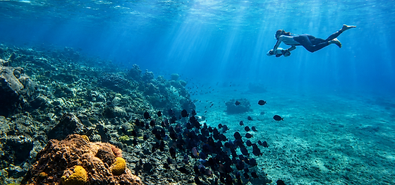 Rider gliding over a Curaçao coral reef on an underwater scooter